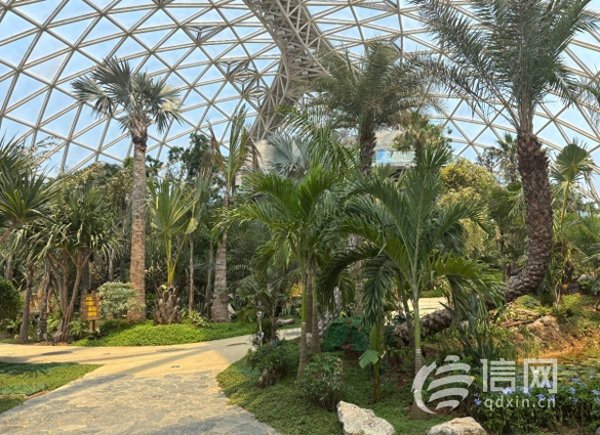 免费配资开户 探访青岛东方伊甸园：园区部分区域有待提升